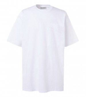 Men's Onitsuka Tiger T Shirts White | 06387-JFYI