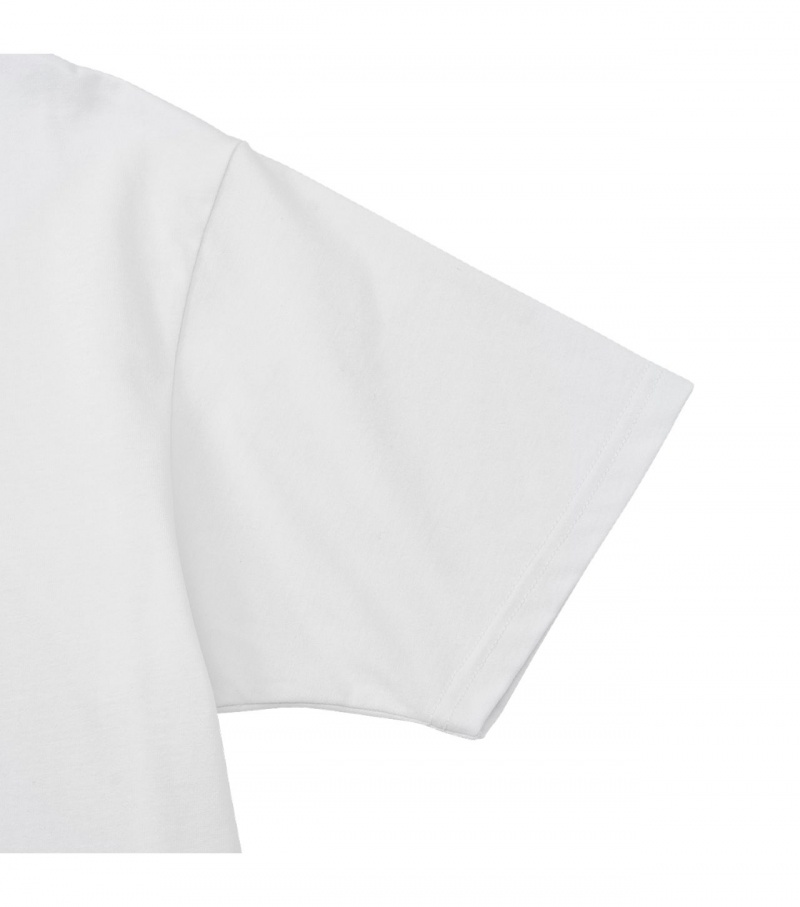 Men's Onitsuka Tiger Graphic T Shirts White | 37680-WPLV