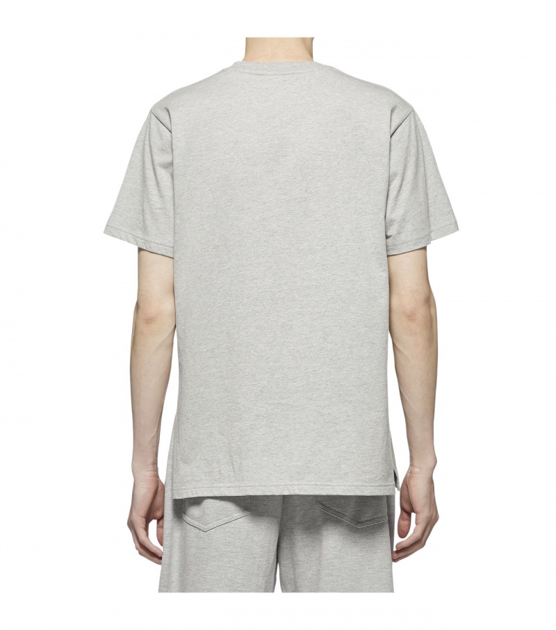 Men's Onitsuka Tiger T Shirts Grey | 36974-GRMP